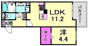 六甲コルンの物件間取画像